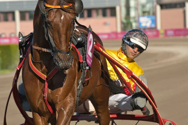 210530 Solvalla - Elitloppet GELATI CUT com o piloto Gabriele Gelormini trotting evento na pista Solvalla em Estocolmo Suécia. Fotos De Bancos De Imagens