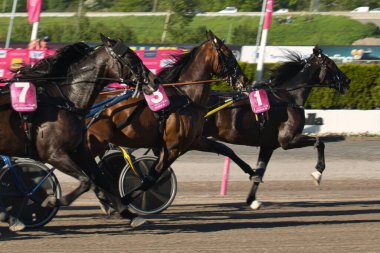 210530 - İsveç 'teki Solvalla pistinde Elitloppet koşu etkinliği.