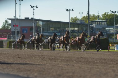 210530 - İsveç 'teki Solvalla pistinde Elitloppet koşu etkinliği.