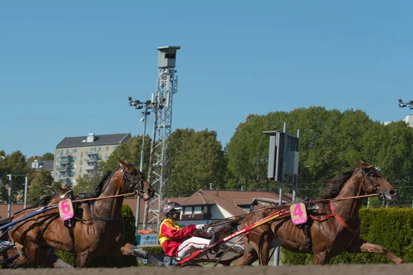210530 - İsveç 'teki Solvalla pistinde Elitloppet koşu etkinliği.