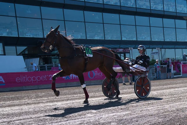 210530 - Evento de trote de Elitloppet na pista Solvalla em Estocolmo Suécia. Fotos De Bancos De Imagens