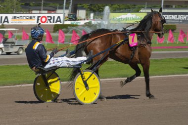 210530 - İsveç 'teki Solvalla pistinde Elitloppet koşu etkinliği.