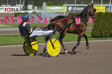 210530 - İsveç 'teki Solvalla pistinde Elitloppet koşu etkinliği.