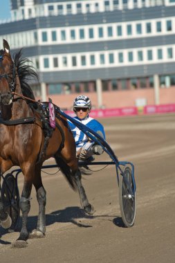 210530 - İsveç 'teki Solvalla pistinde Elitloppet koşu etkinliği.
