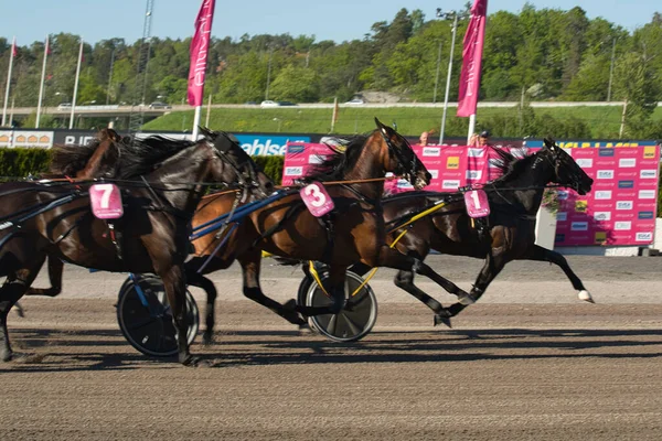 210530 - İsveç 'teki Solvalla pistinde Elitloppet koşu etkinliği.