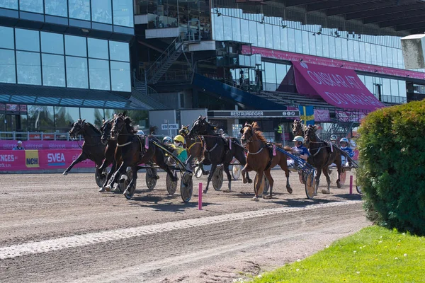 210530 - İsveç 'teki Solvalla pistinde Elitloppet koşu etkinliği. — Stok fotoğraf