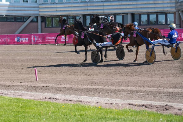 210530 - İsveç 'teki Solvalla pistinde Elitloppet koşu etkinliği. — Stok fotoğraf