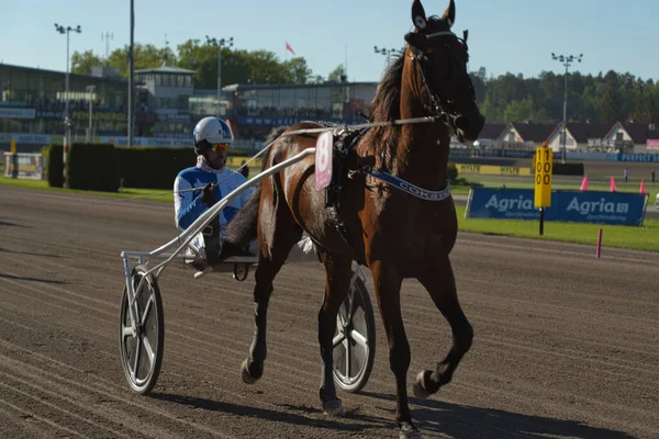 210530 - İsveç 'teki Solvalla pistinde Elitloppet koşu etkinliği.