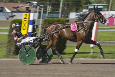 210530 - İsveç 'teki Solvalla pistinde Elitloppet koşu etkinliği.