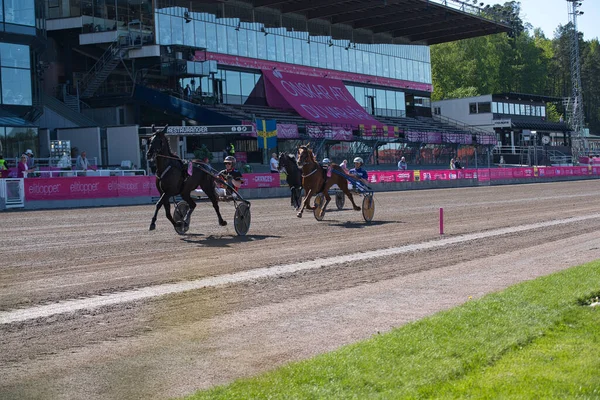 210530 - İsveç 'teki Solvalla pistinde Elitloppet koşu etkinliği. — Stok fotoğraf