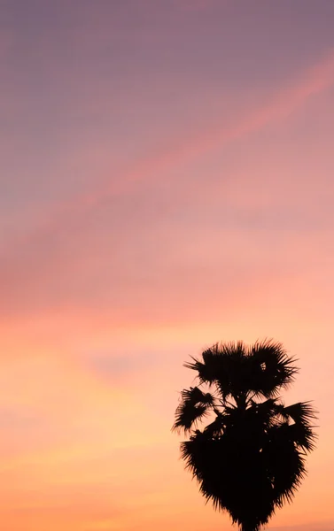 gökyüzü ve gün batımı