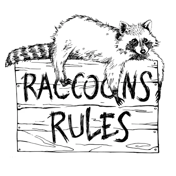 Drôle et touchant raton laveur repose sur une plaque ratons laveurs règles dessinées à la main graver croquis vectoriel illustration — Image vectorielle