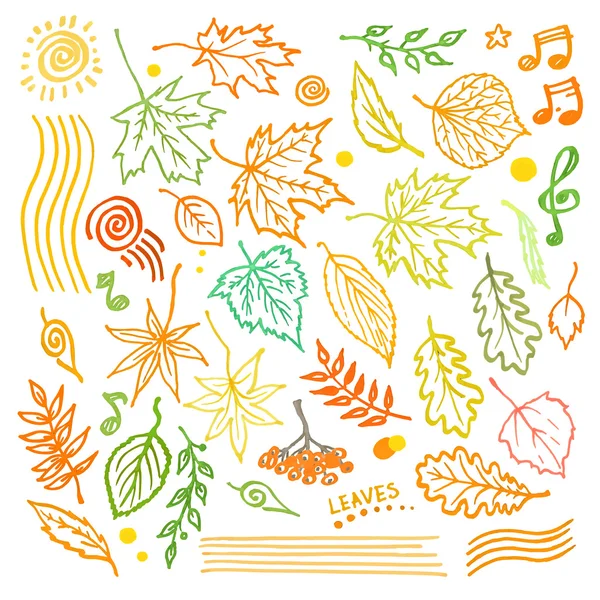 Colorful floral collection with leaves and decorative elements, autumn leaf hand drawn vector illustration — Stock Vector