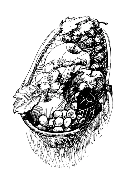 Cesto di frutta disegnato a mano — Vettoriale Stock