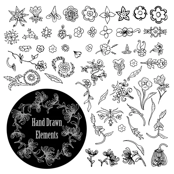 Vector set of decorative floral elements — Stock Vector