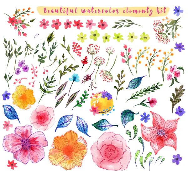 Set of nature design elements painted in watercolor on white paper.  flowers and herbs. — Stock Photo, Image