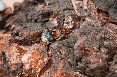 Bir ağacın arka planındaki bronz böcek.