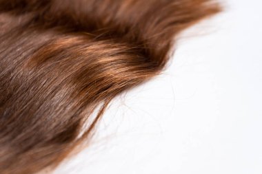 Koyu uzun saçlar beyaz bir arka planda duruyor.