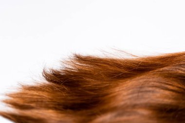 Koyu uzun saçlar beyaz bir arka planda duruyor.