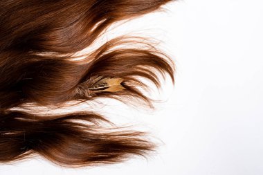 Çok renkli tüyler beyaz arka planda koyu renk saçlara serilmiştir.