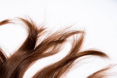 Beyaz arka planda koyu renk saç kıvırcıkları var.