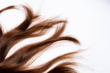 Koyu kahverengi saçlar beyaz arka planda yatar.