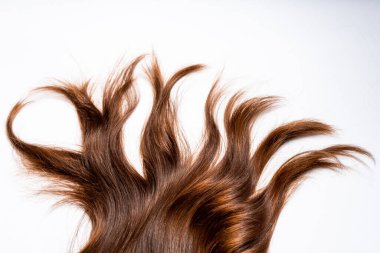 Koyu kahverengi saçlar beyaz arka planda yatar.