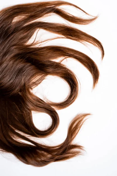 Koyu kahverengi saçlar beyaz arka planda yatar.