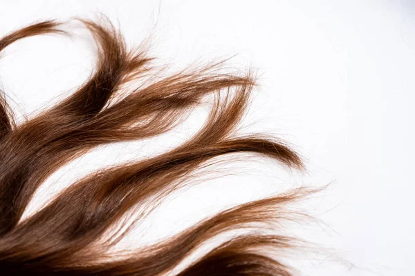 Koyu kahverengi saçlar beyaz arka planda yatar.