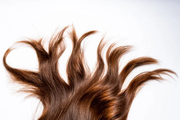 Koyu kahverengi saçlar beyaz arka planda yatar.