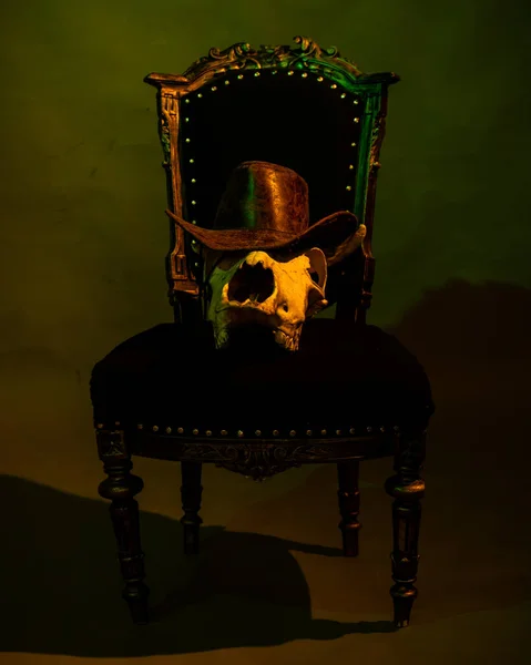 Crâne de taureau dans un chapeau de cow-boy sur une chaise noire avec lumière multicolore — Photo