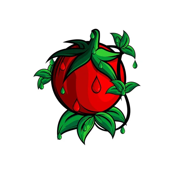 Vector Ilustración Tomate Fresco Vegetal — Archivo Imágenes Vectoriales