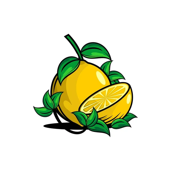 Vektor Illustration Citron Frukt Vit Bakgrund — Stock vektor