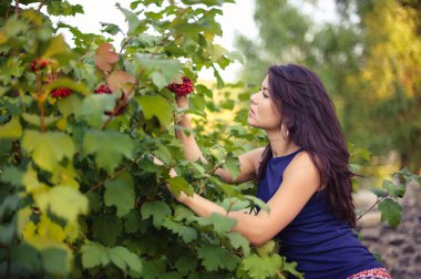Güzel kadın bush kartopu çilek görünüyor. açık havada kırsal kesimde