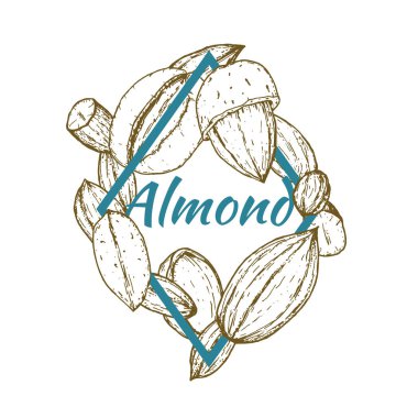 Eski tarz el yapımı bademlerle çizilmiş şablon çerçeve, kabartma stili. Pankart, kapak, etiket, paket, promosyon için tasarım unsurları. Beyaz arka planda izole edilmiş. Modern vektör illüstrasyonu.