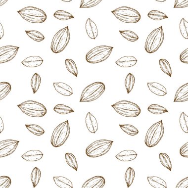 Kusursuz desenli bademlerle retro-vintage el çizimi, çizimler, oymalı stil. Beyaz arka planda izole edilmiş. Modern vektör illüstrasyonu.