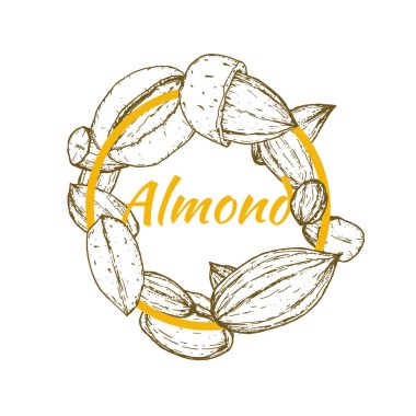 Eski tarz el yapımı bademlerle çizilmiş şablon çerçeve, kabartma stili. Pankart, kapak, etiket, paket, promosyon için tasarım unsurları. Beyaz arka planda izole edilmiş. Modern vektör illüstrasyonu.