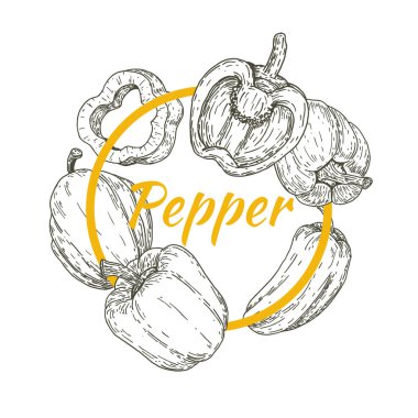Paprika biberli retro el çizimi, eskizler, oymalı stil. Pankart, kapak, etiket, paket, promosyon için tasarım unsurları. Beyaz arka planda izole edilmiş. Modern vektör illüstrasyonu.