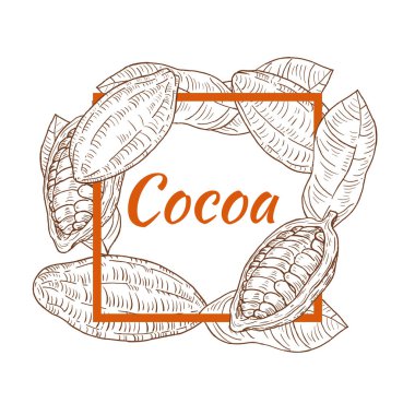 Eskimiş el yapımı kakao çekirdekli şablon çerçeve, çizimler, oymalı stil. Pankart, kapak, etiket, paket, promosyon için tasarım unsurları. Beyaz arka planda izole edilmiş. Vektör illüstrasyonu.