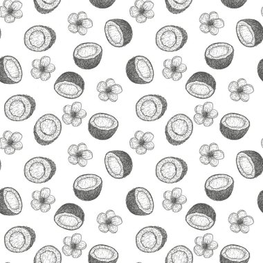 El çizimi vektörsüz desen ya da hindistan cevizli arka plan. Doğal tropikal gıda oymalı klasik resim. Marka paketi, tekstil tasarımı.