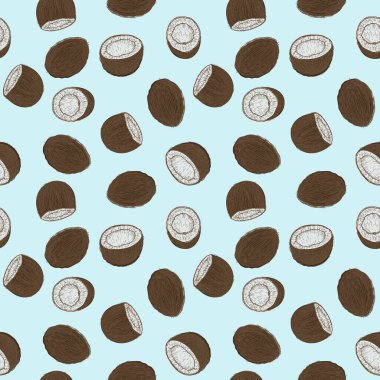 El çizimi vektörsüz desen ya da hindistan cevizli arka plan. Doğal tropikal gıda oymalı klasik resim. Marka paketi, tekstil tasarımı.