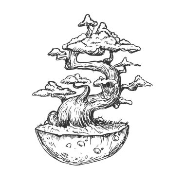 Bonsai ağacı, el yapımı vintage tarzında bir zemin üzerinde. Beyaz arkaplanda izole edilmiş vektör çizimi.