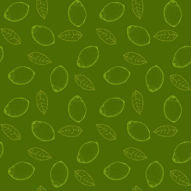 Yeşil kireç ve yapraklı el çizimi, pürüzsüz bir şekil. Tropik yaz meyvesi oymalı vintage çizimi. Marka paketi, tekstil için tasarım ögeleri.