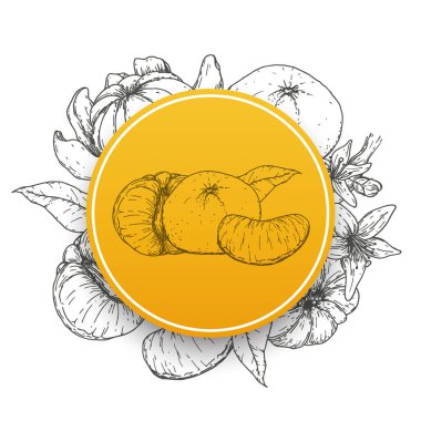 Çerçevesi eski moda el çizimi, eskizler, oymalı stil. Pankart, kapak, etiket, paket, promosyon için tasarım unsurları. Beyaz arka planda izole edilmiş. Modern vektör illüstrasyonu.