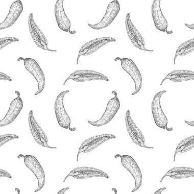 El çizimi, pürüzsüz vektör deseni ya da kırmızı biberli arka plan. Doğal ekolojik gıda oymalı eski tarz resimleme. Tarım pazarı ürünü tasarla.