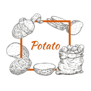 Patatesli çerçeve, eski el çizimi, eskizler, oymalı stil. Pankart, kapak, etiket, paket, promosyon için tasarım unsurları. Beyaz arka planda izole edilmiş. Modern vektör illüstrasyonu.