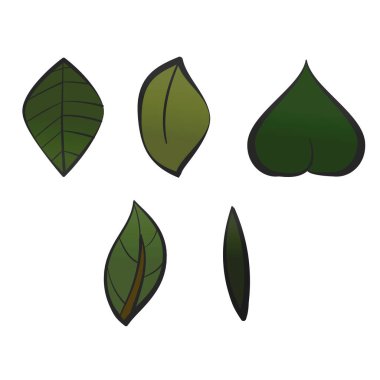 Eski moda bir yaprak seti. Eski moda dövmeler için tasarım malzemeleri, arka plan hipster kapağı, poster. Çizgi film vektör illüstrasyonu.