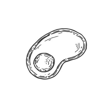 Virüs, hücre, bakteri ya da mikrop biçiminde. Retro vektör çizimi beyaz arkaplanda izole edildi.