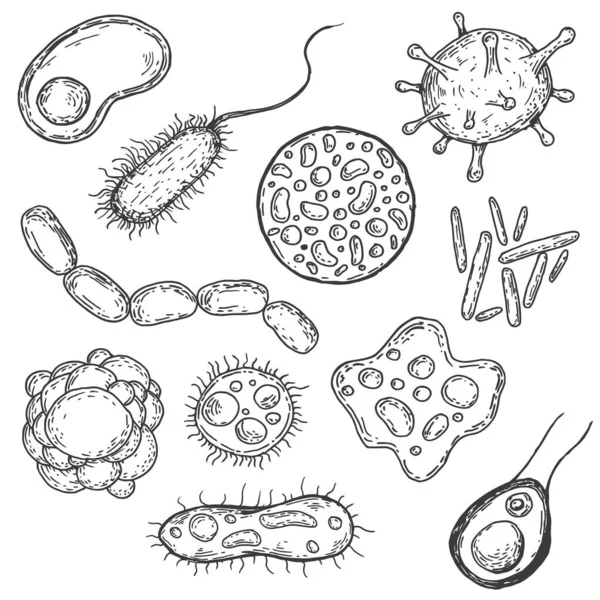 手描きのヴィンテージスタイルでフォームウイルス 細菌や微生物のセット 白を基調としたレトロベクトルイラスト — ストックベクタ