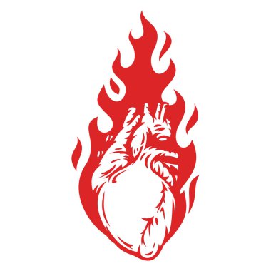 İnsan kalbiyle el çizimi konsept kompozisyon ve beyaz arka planda klasik çizgi film tarzında ateş. Baskı, kapak ve kart için modern tasarım. Vektör illüstrasyonu.